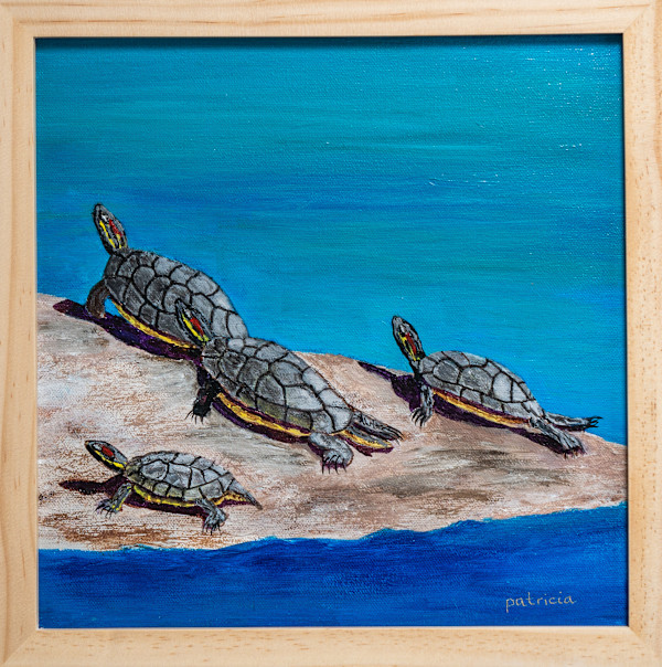 Tortugas Tranquillas by Patricia Gould, Image 9.