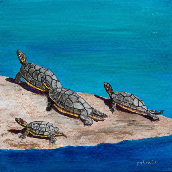 Tortugas Tranquillas by Patricia Gould