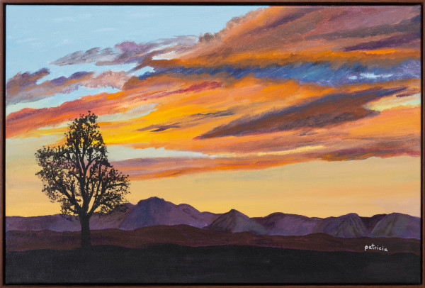Valley Sunset by Patricia Gould