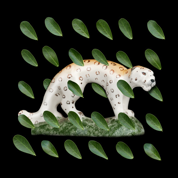 Jaguar 1/15
