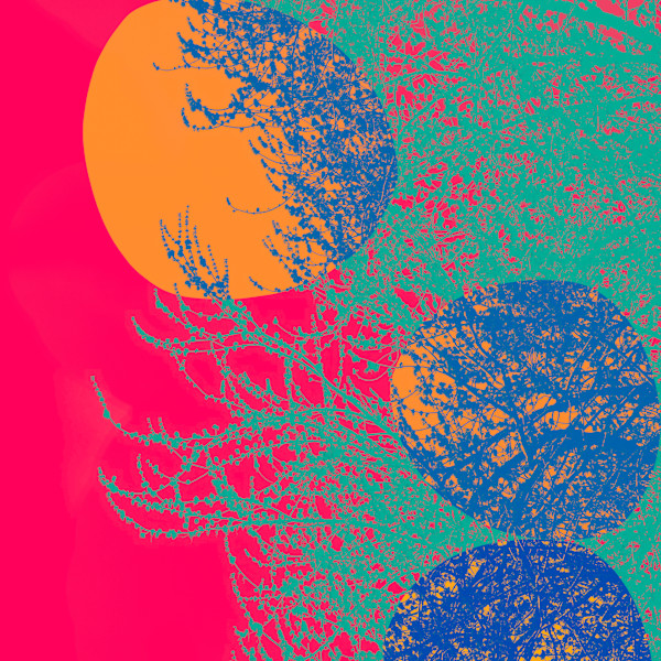 Abstract Pulse by Bogdan Mihai, Image 1.