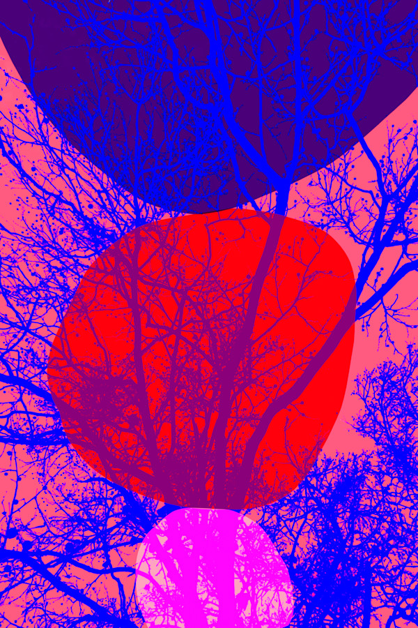 Unstable Symmetry by Bogdan Mihai, Image 1.