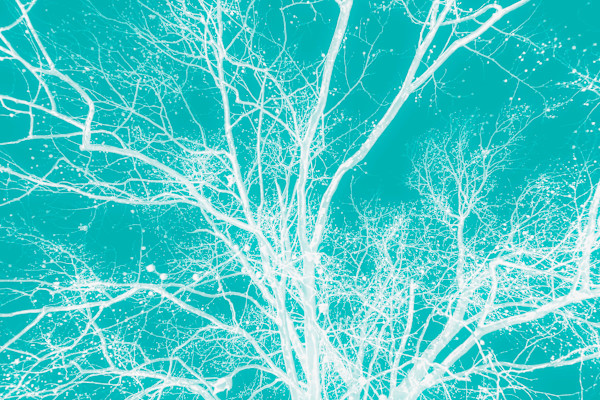 Glowing in the Silence by Bogdan Mihai, Image 1.