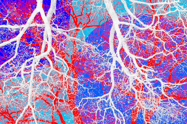Harmony in the Unseen by Bogdan Mihai, Image 1.