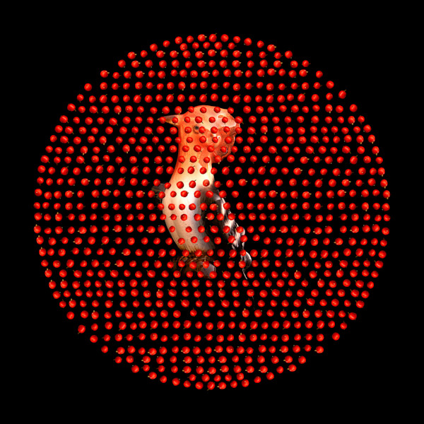 Woodpecker 1/15