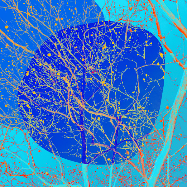 Fragmented Echoes by Bogdan Mihai, Image 1.
