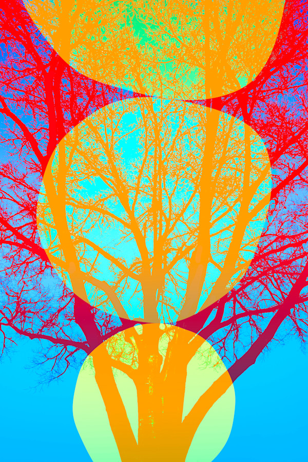 Fluorescent Shadows by Bogdan Mihai, Image 2.