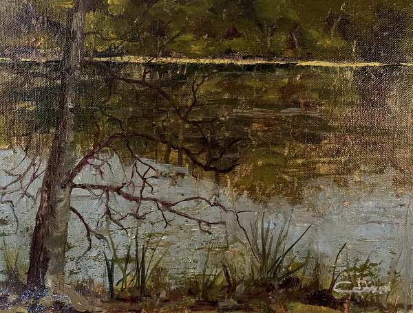 Bays Mountain Lake