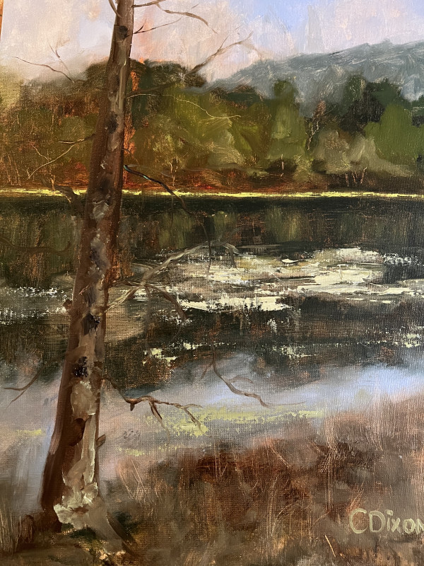 Rainy Lake