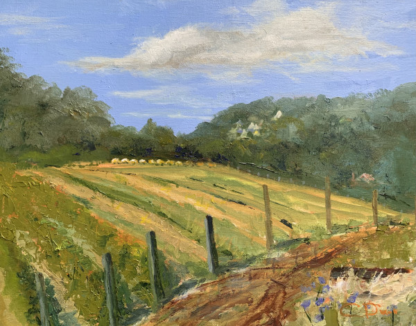 Hay Rolls, Grapes Vine