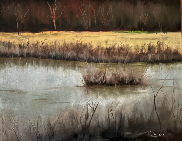 Marsh March