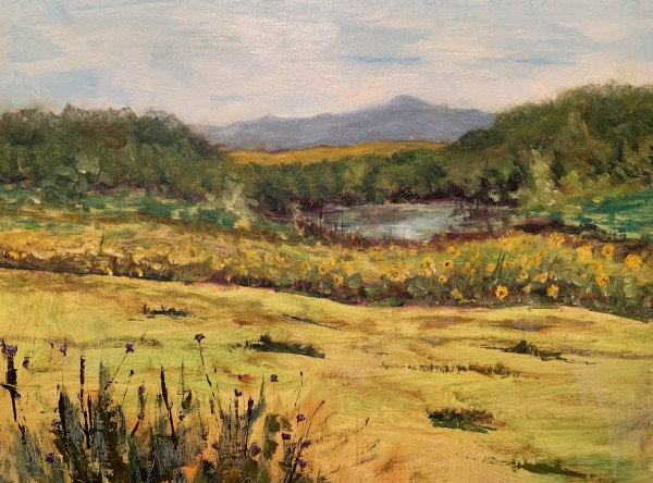 Back Field