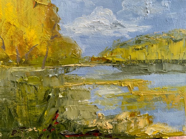Bays Mountain Summer
