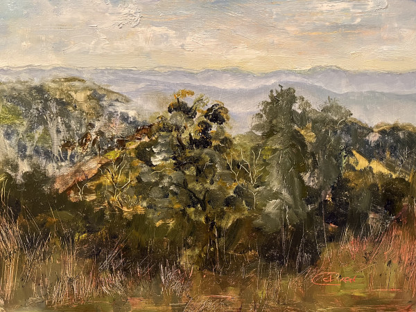 Blue Ridge Summer