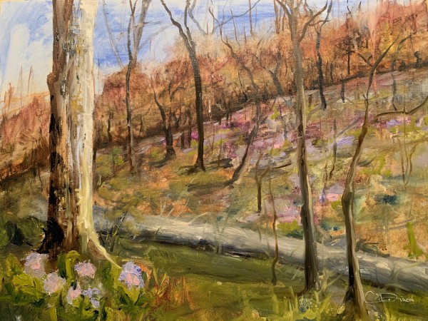 Bluebell Spring