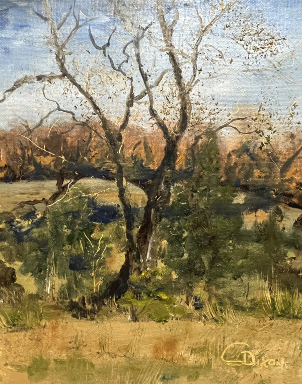 Mountain Farm View
