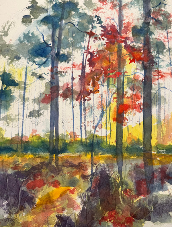 Walk in the Woods by Carol Dixon