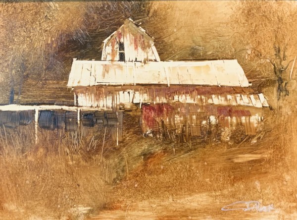 Barnstorm by Carol Dixon