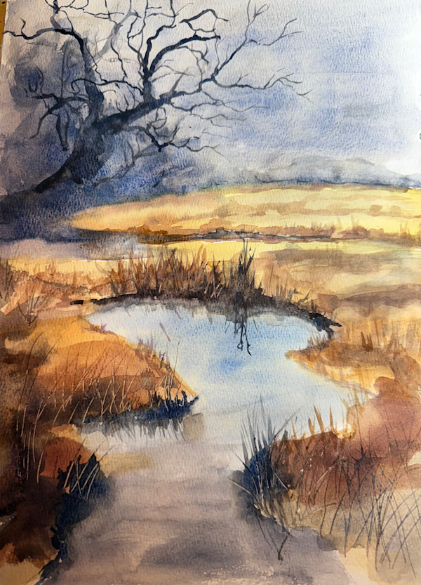 Serenity by Carol Dixon