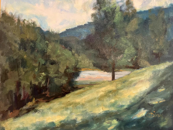 Lakeside Shade