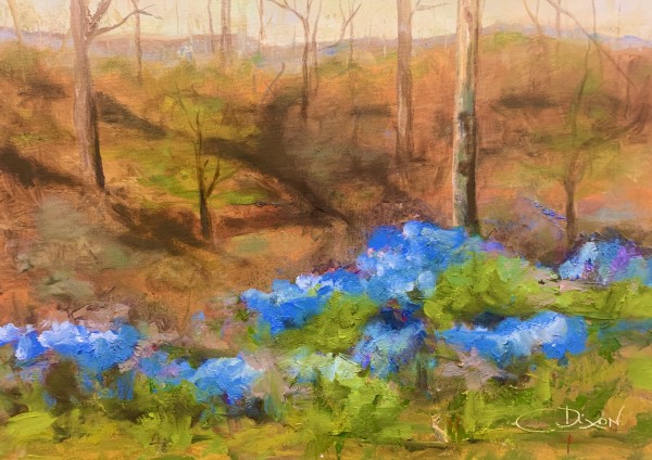 Spring Bluebells