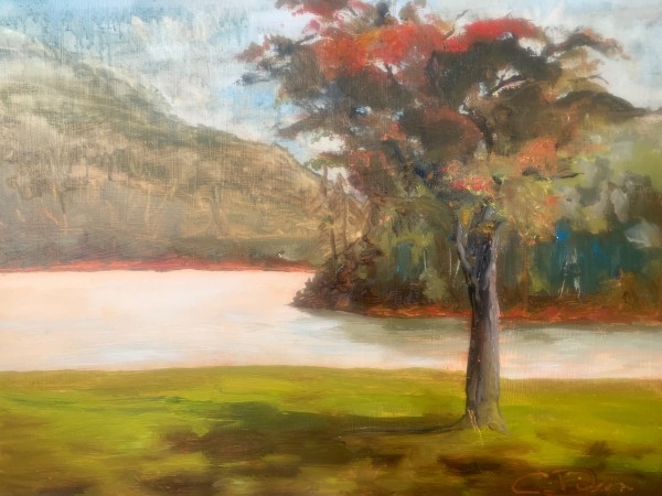 Watauga Lake Summer