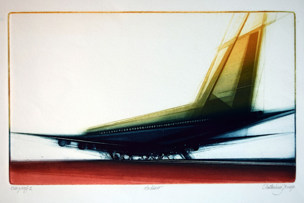 Airliner by Donald Stoltenberg