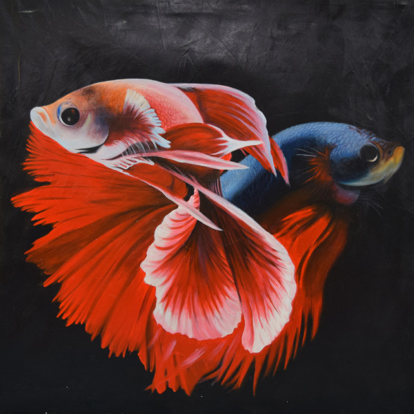 Untitled (Betta's) by Unknown
