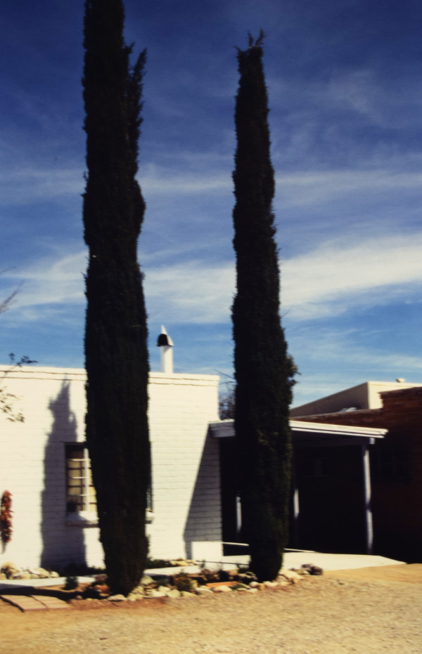 White House with Trees, Tubac by Robert Ward