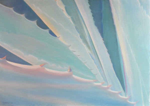 Untitled (Clouds) by Terri Priest, Image 2.