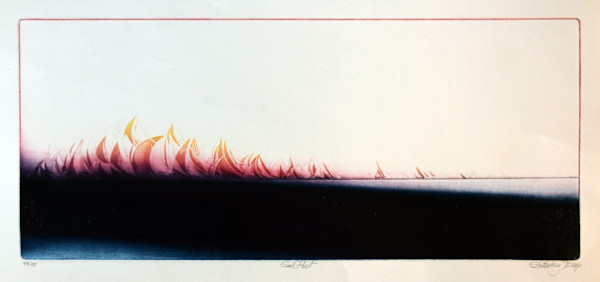 Sail Fleet by Donald Stoltenberg