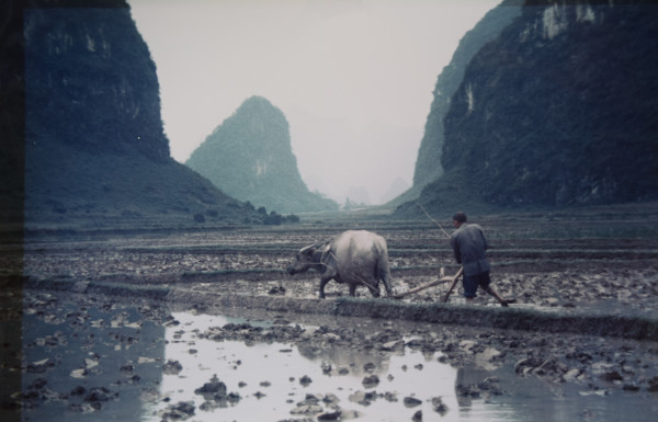 Yangshuo, Guauxi Provence by [Robert Ward]