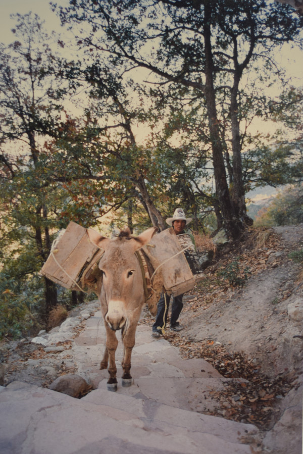Tarahumara with Burro, Copper Canyon by Robert Ward