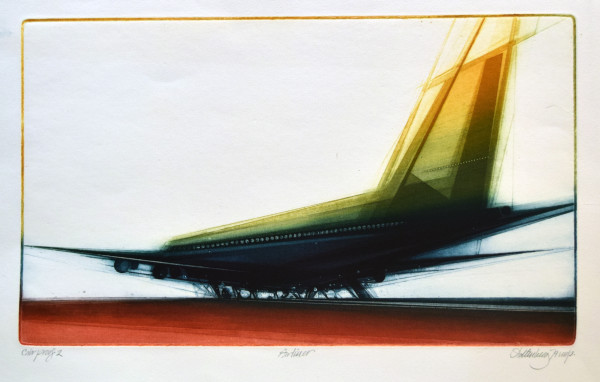 Airliner by Donald Stoltenberg