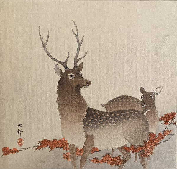 Two deer by Ohara Koson