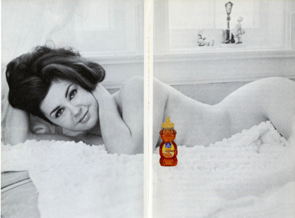 Honey Bear