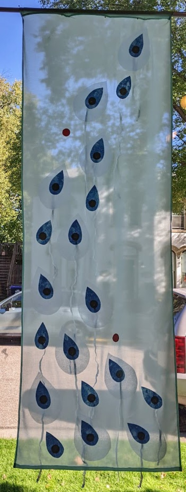 Feathers by Marjorie  Cutting