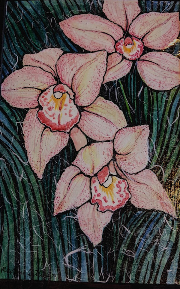 Orchids by Marjorie  Cutting