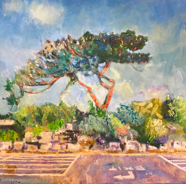 Sandbanks - sunset tree by Stephen Bishop