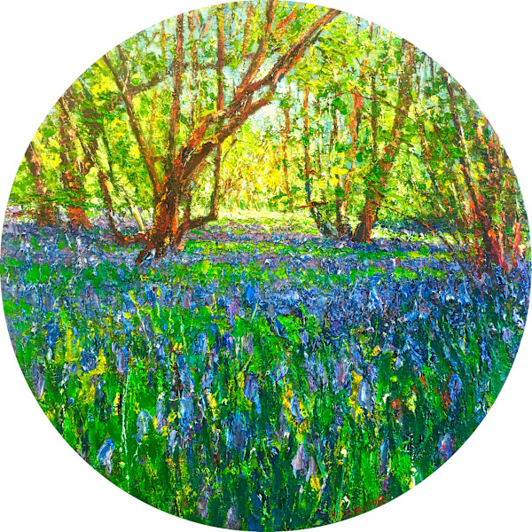Bluebell Woods at Broom Hill, Image 1.
