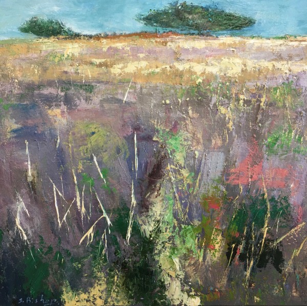 Spring Heath Studland, Image 1.