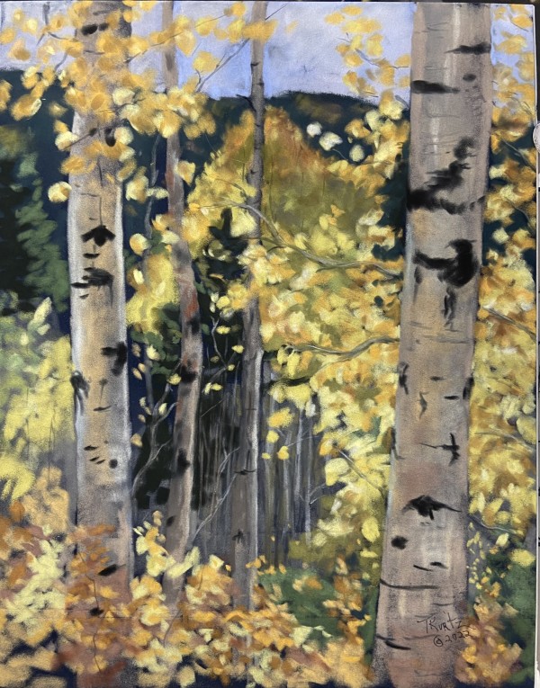 Autumn in the Hills Original Pastel by T Kurtz