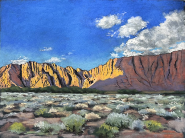 Gold in the Hills by T Kurtz