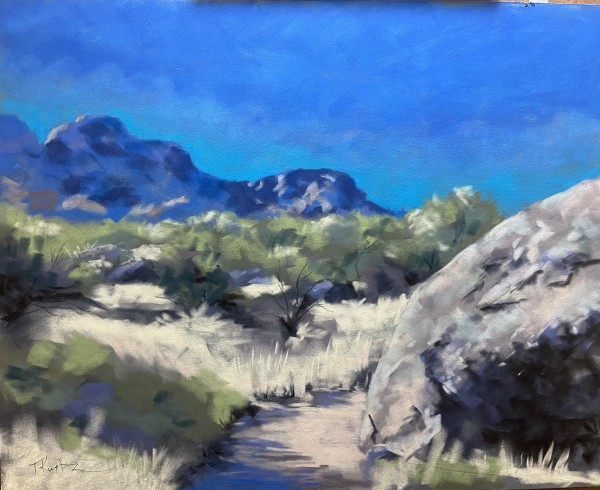 Arid Distance by T Kurtz