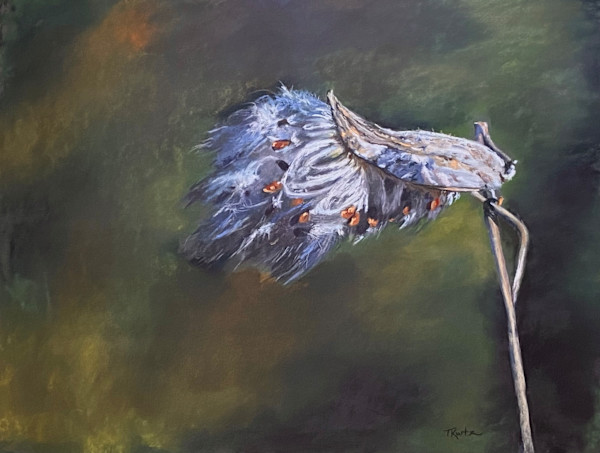 Wind Dancers by T Kurtz
