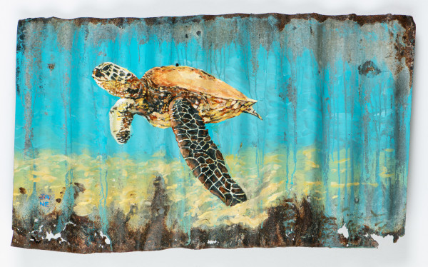 Animals Matter: Turtle in Turquoise