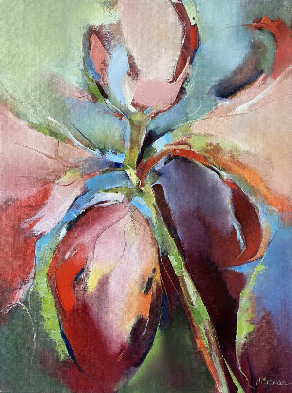 Amaryllis  Glow