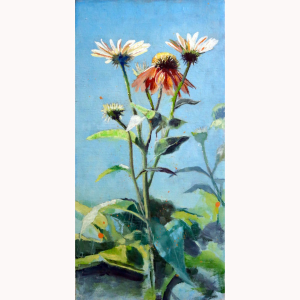 Coneflowers by Stacey B. Street