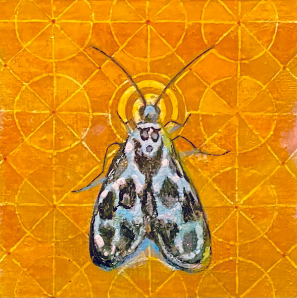 Moth 04 by Stacey B. Street