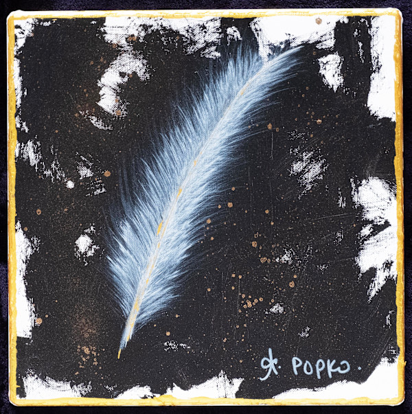 Feather 4 by April Popko